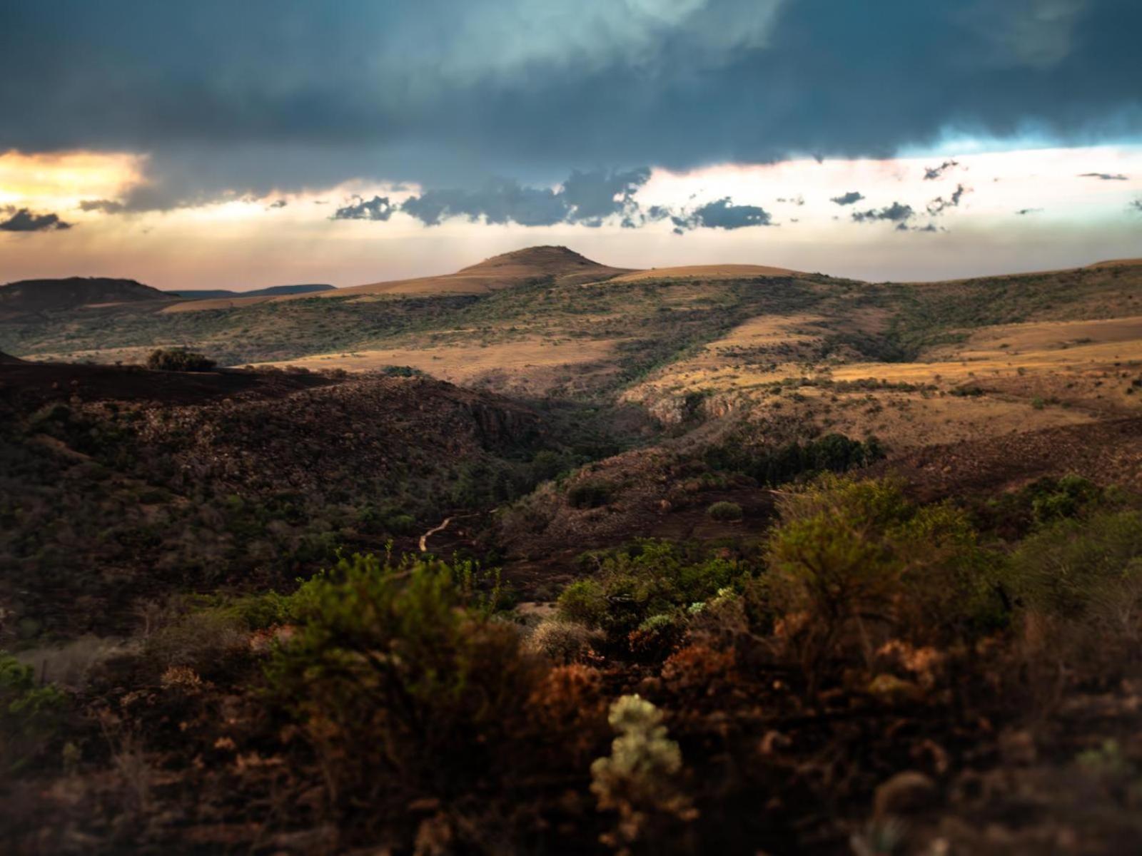 Riverbed Africa ライデンバーグ 部屋 写真