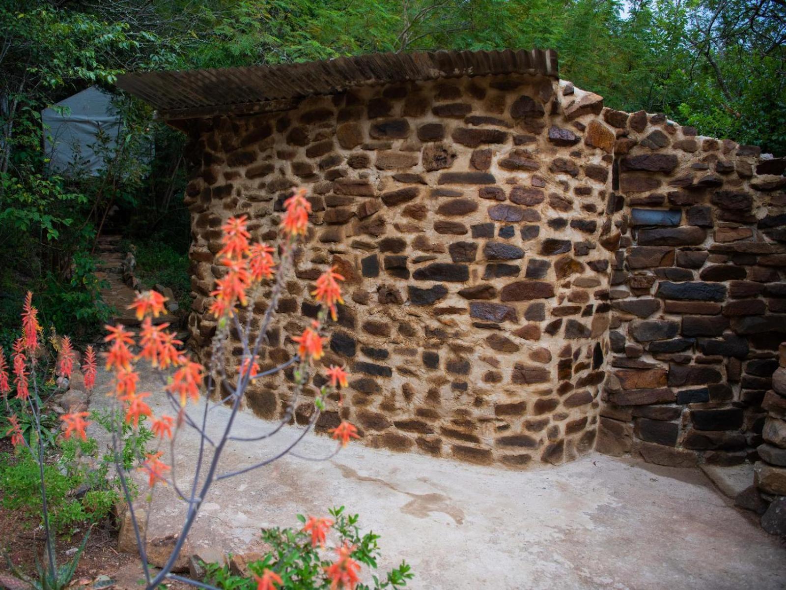 Riverbed Africa ライデンバーグ エクステリア 写真
