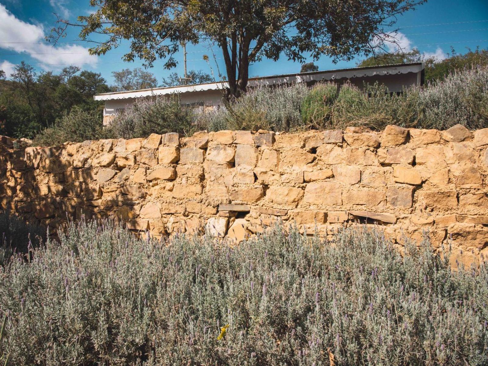 Riverbed Africa ライデンバーグ エクステリア 写真