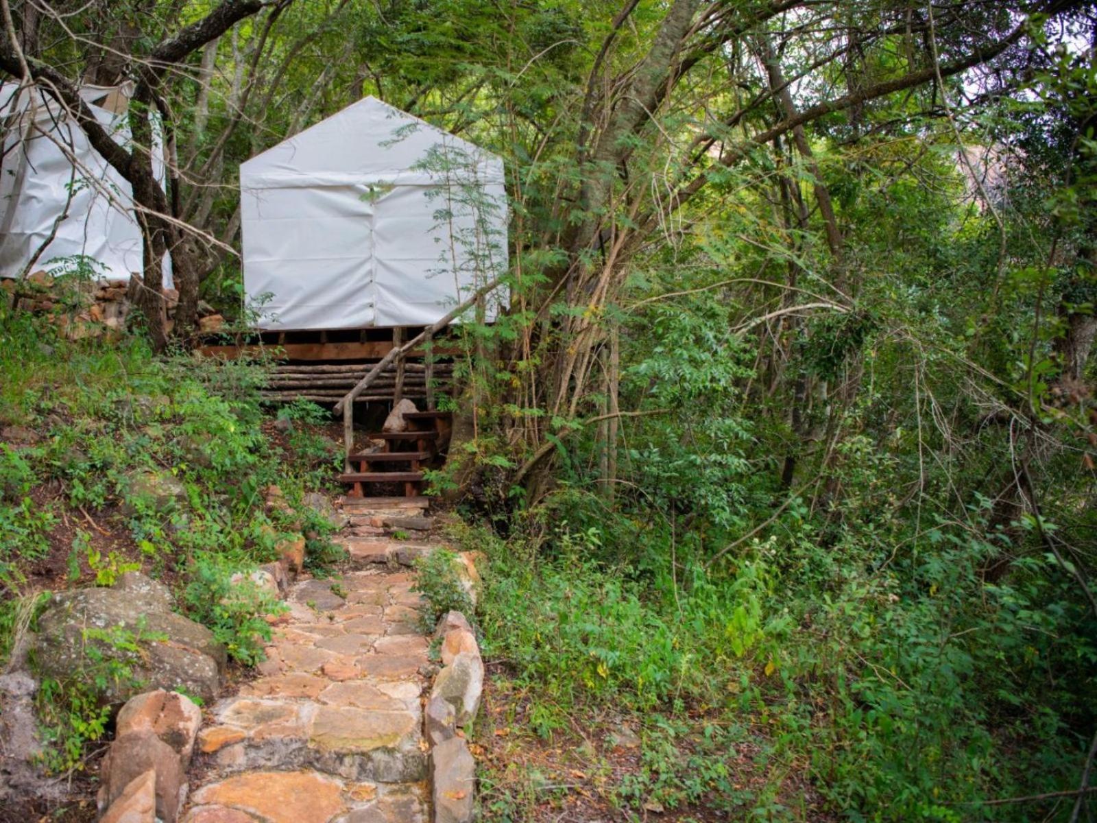Riverbed Africa ライデンバーグ 部屋 写真
